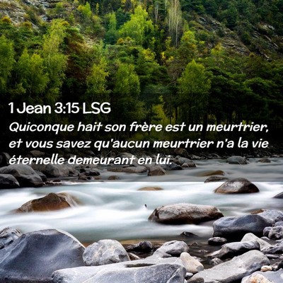 Picture 02 - 1 Jean 3:15 LSG - Quiconque hait son frère est un meurtrier, et - Bible Verse Picture
