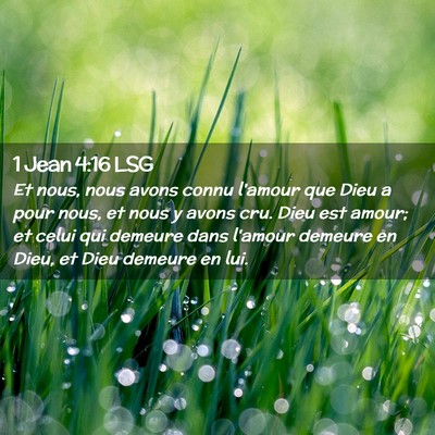 Picture 02 - 1 Jean 4:16 LSG - Et nous, nous avons connu l'amour que Dieu a pour - Bible Verse Picture