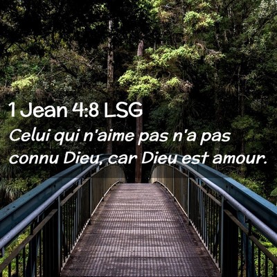 Picture 02 - 1 Jean 4:8 LSG - Celui qui n'aime pas n'a pas connu Dieu, car Dieu - Bible Verse Picture