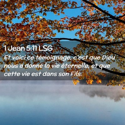 Picture 02 - 1 Jean 5:11 LSG - Et voici ce témoignage, c'est que Dieu nous a - Bible Verse Picture