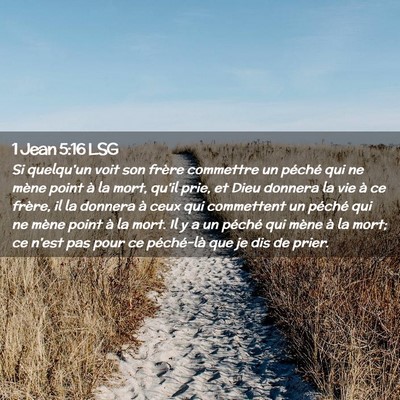 Picture 02 - 1 Jean 5:16 LSG - Si quelqu'un voit son frère commettre un péché - Bible Verse Picture