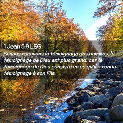 Picture 02 - 1 Jean 5:9 LSG - Si nous recevons le témoignage des hommes, le - Bible Verse Picture