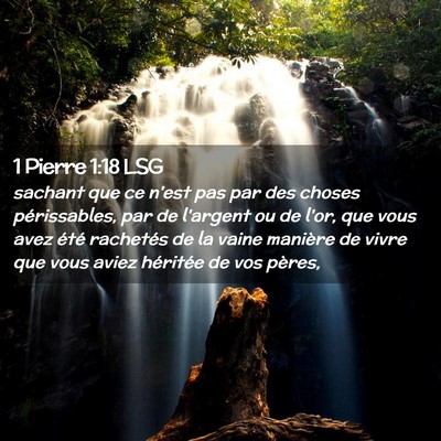 Picture 02 - 1 Pierre 1:18 LSG - sachant que ce n'est pas par des choses - Bible Verse Picture