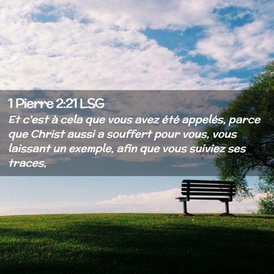 Picture 02 - 1 Pierre 2:21 LSG - Et c'est à cela que vous avez été appelés, - Bible Verse Picture