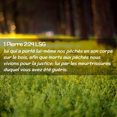 Picture 02 - 1 Pierre 2:24 LSG - lui qui a porté lui-même nos péchés en son - Bible Verse Picture