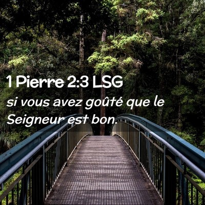 Picture 02 - 1 Pierre 2:3 LSG - si vous avez goûté que le Seigneur est - Bible Verse Picture