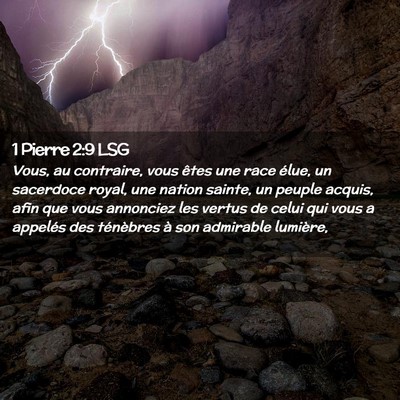 Picture 02 - 1 Pierre 2:9 LSG - Vous, au contraire, vous êtes une race élue, un - Bible Verse Picture