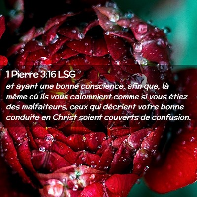 Picture 02 - 1 Pierre 3:16 LSG - et ayant une bonne conscience, afin que, là - Bible Verse Picture