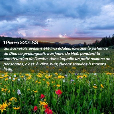 Picture 02 - 1 Pierre 3:20 LSG - qui autrefois avaient été incrédules, lorsque - Bible Verse Picture