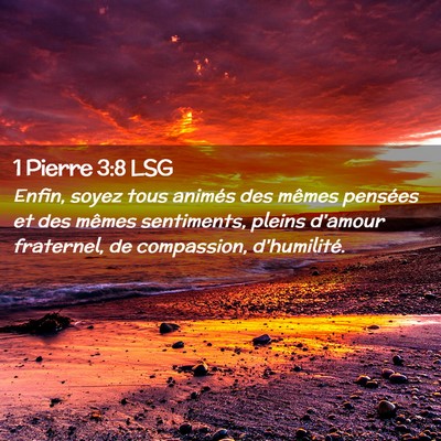 Picture 02 - 1 Pierre 3:8 LSG - Enfin, soyez tous animés des mêmes pensées et - Bible Verse Picture