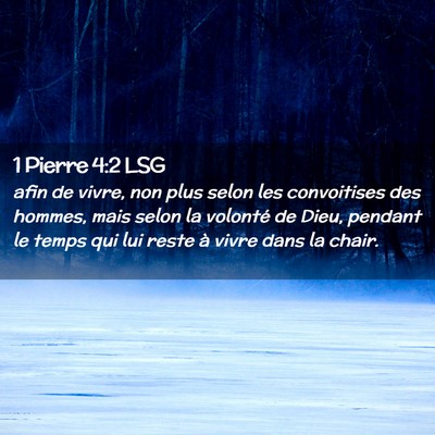 Picture 02 - 1 Pierre 4:2 LSG - afin de vivre, non plus selon les convoitises des - Bible Verse Picture