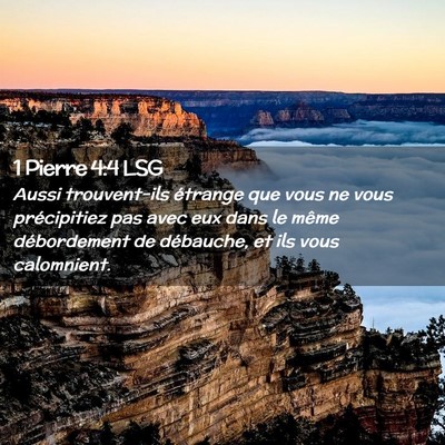 Picture 02 - 1 Pierre 4:4 LSG - Aussi trouvent-ils étrange que vous ne vous - Bible Verse Picture