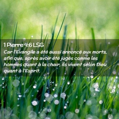 Picture 02 - 1 Pierre 4:6 LSG - Car l'Evangile a été aussi annoncé aux morts, - Bible Verse Picture