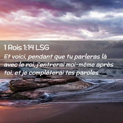 Picture 02 - 1 Rois 1:14 LSG - Et voici, pendant que tu parleras là avec le - Bible Verse Picture