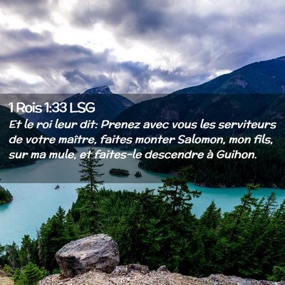 Picture 02 - 1 Rois 1:33 LSG - Et le roi leur dit: Prenez avec vous les - Bible Verse Picture