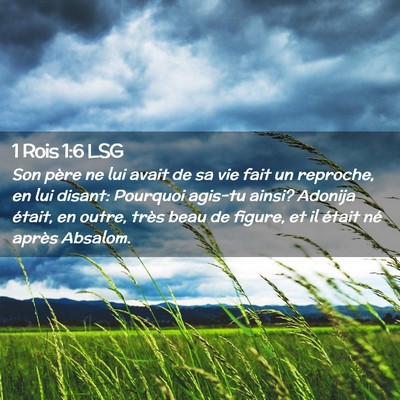 Picture 02 - 1 Rois 1:6 LSG - Son père ne lui avait de sa vie fait un - Bible Verse Picture