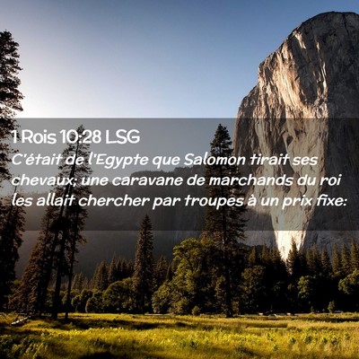 Picture 02 - 1 Rois 10:28 LSG - C'était de l'Egypte que Salomon tirait ses - Bible Verse Picture
