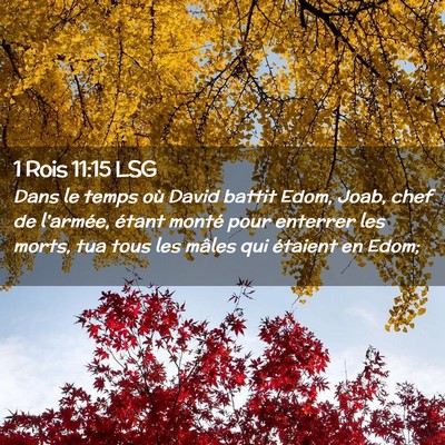 Picture 02 - 1 Rois 11:15 LSG - Dans le temps où David battit Edom, Joab, chef - Bible Verse Picture