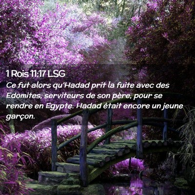 Picture 02 - 1 Rois 11:17 LSG - Ce fut alors qu'Hadad prit la fuite avec des - Bible Verse Picture