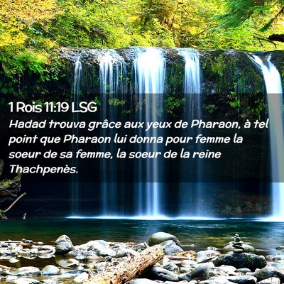 Picture 02 - 1 Rois 11:19 LSG - Hadad trouva grâce aux yeux de Pharaon, à tel - Bible Verse Picture