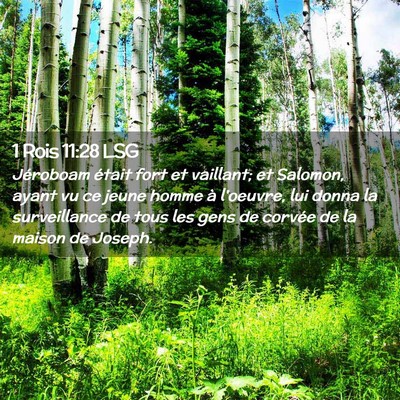 Picture 02 - 1 Rois 11:28 LSG - Jéroboam était fort et vaillant; et Salomon, - Bible Verse Picture