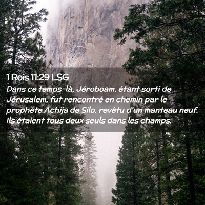 Picture 02 - 1 Rois 11:29 LSG - Dans ce temps-là, Jéroboam, étant sorti de - Bible Verse Picture