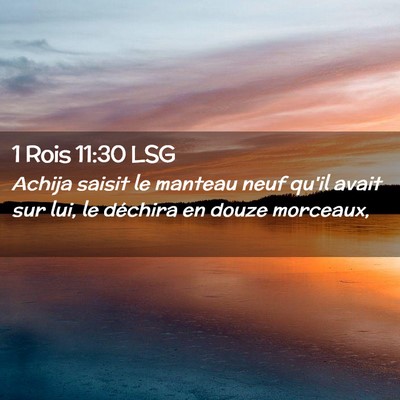 Picture 02 - 1 Rois 11:30 LSG - Achija saisit le manteau neuf qu'il avait sur - Bible Verse Picture