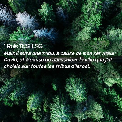 Picture 02 - 1 Rois 11:32 LSG - Mais il aura une tribu, à cause de mon serviteur - Bible Verse Picture