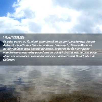 Picture 02 - 1 Rois 11:33 LSG - Et cela, parce qu'ils m'ont abandonné, et se - Bible Verse Picture