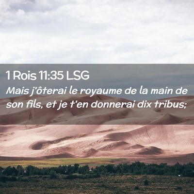 Picture 02 - 1 Rois 11:35 LSG - Mais j'ôterai le royaume de la main de son fils, - Bible Verse Picture