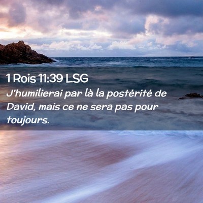 Picture 02 - 1 Rois 11:39 LSG - J'humilierai par là la postérité de David, - Bible Verse Picture