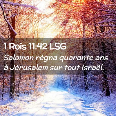 Picture 02 - 1 Rois 11:42 LSG - Salomon régna quarante ans à Jérusalem sur - Bible Verse Picture