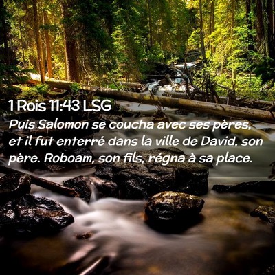 Picture 02 - 1 Rois 11:43 LSG - Puis Salomon se coucha avec ses pères, et il fut - Bible Verse Picture