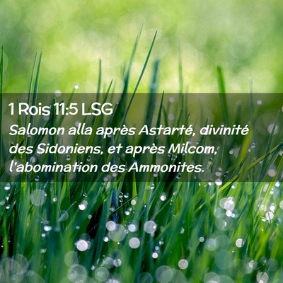 Picture 02 - 1 Rois 11:5 LSG - Salomon alla après Astarté, divinité des - Bible Verse Picture
