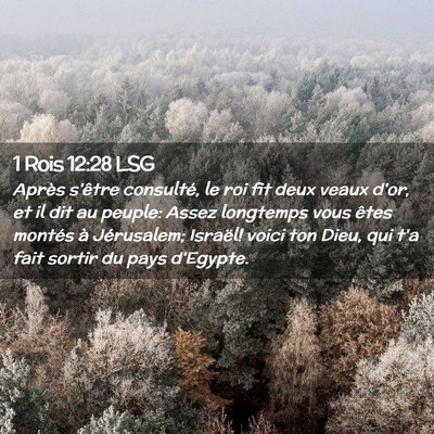 Picture 02 - 1 Rois 12:28 LSG - Après s'être consulté, le roi fit deux veaux - Bible Verse Picture