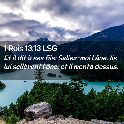 Picture 02 - 1 Rois 13:13 LSG - Et il dit à ses fils: Sellez-moi l'âne. Ils lui - Bible Verse Picture