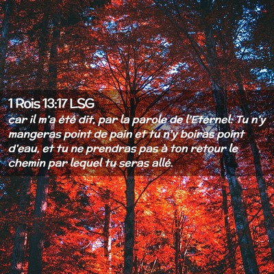 Picture 02 - 1 Rois 13:17 LSG - car il m'a été dit, par la parole de l'Eternel: - Bible Verse Picture