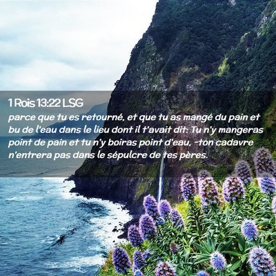 Picture 02 - 1 Rois 13:22 LSG - parce que tu es retourné, et que tu as mangé du - Bible Verse Picture