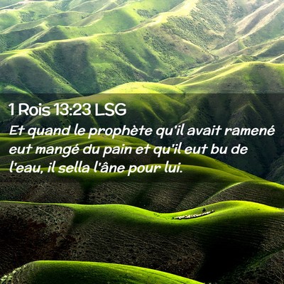 Picture 02 - 1 Rois 13:23 LSG - Et quand le prophète qu'il avait ramené eut - Bible Verse Picture