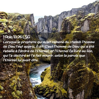 Picture 02 - 1 Rois 13:26 LSG - Lorsque le prophète qui avait ramené du chemin - Bible Verse Picture