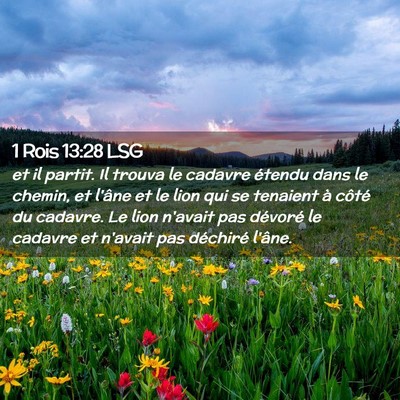 Picture 02 - 1 Rois 13:28 LSG - et il partit. Il trouva le cadavre étendu dans - Bible Verse Picture