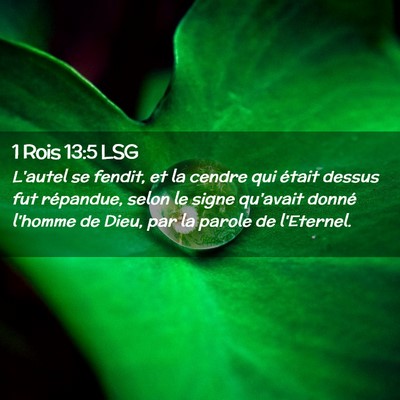 Picture 02 - 1 Rois 13:5 LSG - L'autel se fendit, et la cendre qui était dessus - Bible Verse Picture