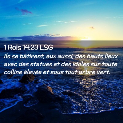 Picture 02 - 1 Rois 14:23 LSG - Ils se bâtirent, eux aussi, des hauts lieux avec - Bible Verse Picture