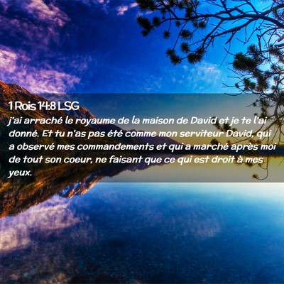 Picture 02 - 1 Rois 14:8 LSG - j'ai arraché le royaume de la maison de David et - Bible Verse Picture