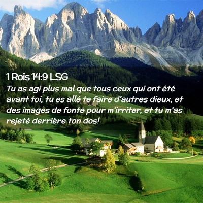 Picture 02 - 1 Rois 14:9 LSG - Tu as agi plus mal que tous ceux qui ont été - Bible Verse Picture