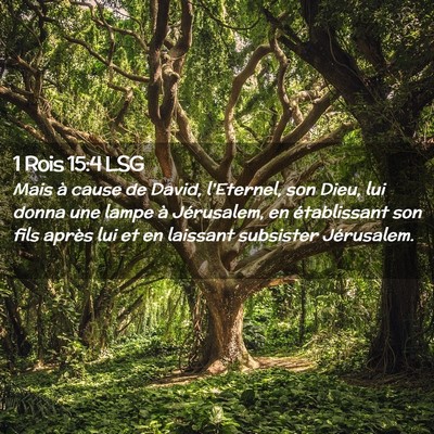 Picture 02 - 1 Rois 15:4 LSG - Mais à cause de David, l'Eternel, son Dieu, lui - Bible Verse Picture