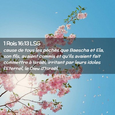Picture 02 - 1 Rois 16:13 LSG - cause de tous les péchés que Baescha et Ela, - Bible Verse Picture