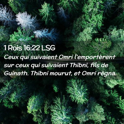 Picture 02 - 1 Rois 16:22 LSG - Ceux qui suivaient Omri l'emportèrent sur ceux - Bible Verse Picture