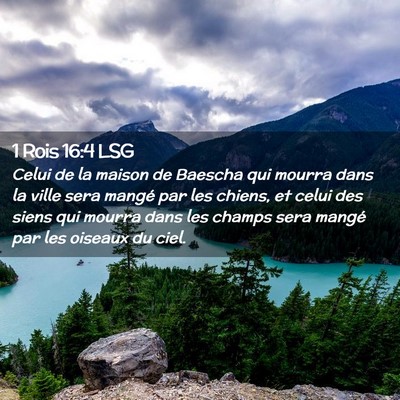 Picture 02 - 1 Rois 16:4 LSG - Celui de la maison de Baescha qui mourra dans la - Bible Verse Picture