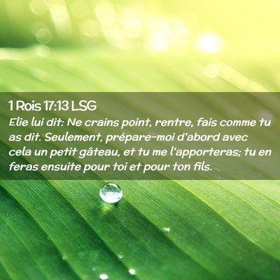 Picture 02 - 1 Rois 17:13 LSG - Elie lui dit: Ne crains point, rentre, fais comme - Bible Verse Picture